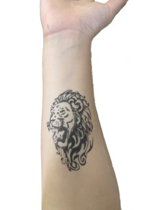 PIERRE A TATOUER TETE DE LION 2