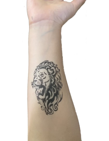 PIERRE A TATOUER TETE DE LION